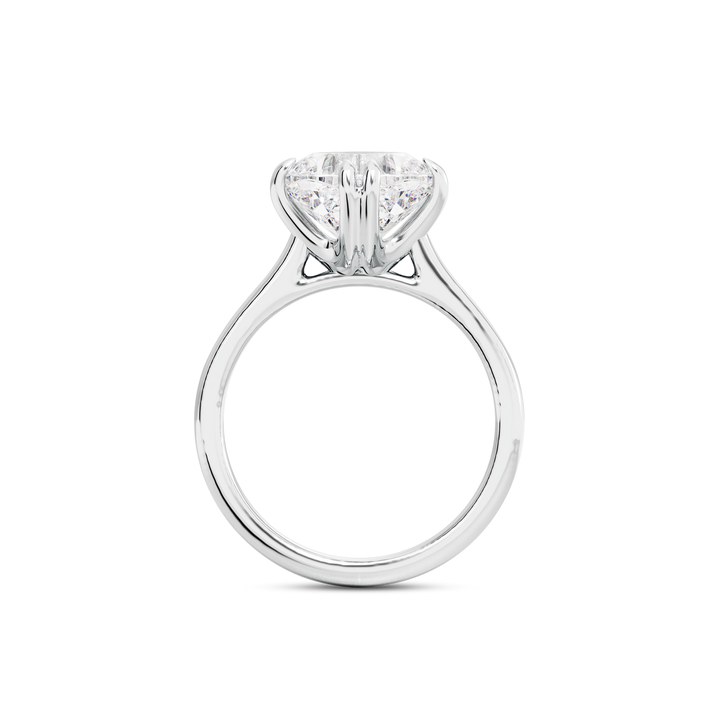 3 CT Vera