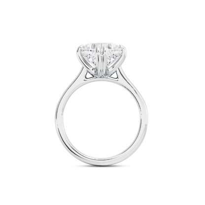 3 CT Vera