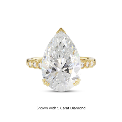 4.5 CT Celeste