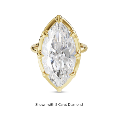 4.5 CT Clara