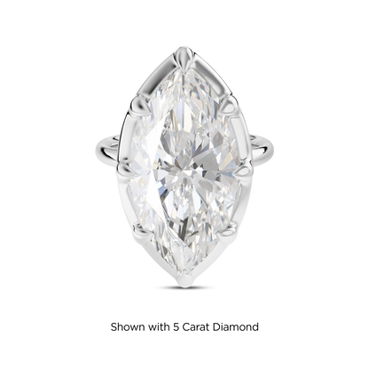 4.5 CT Clara