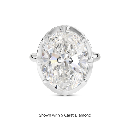 4.5 CT Clara
