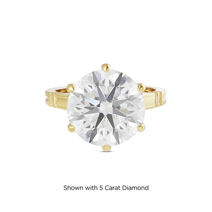 4.5 CT Iris