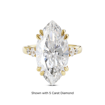4.5 CT Sadie