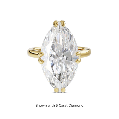 4.5 CT Vera