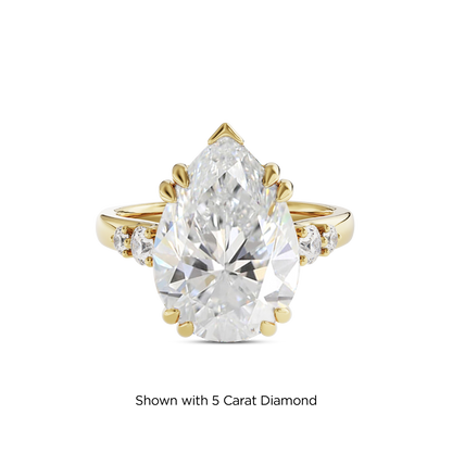 4.5 CT Sadie