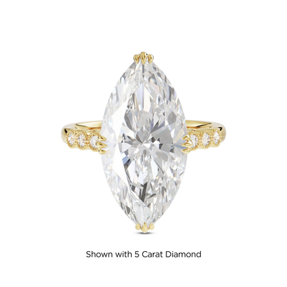 4.5 CT Celeste