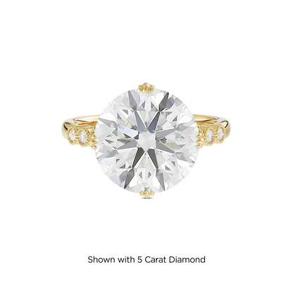 4.5 CT Celeste
