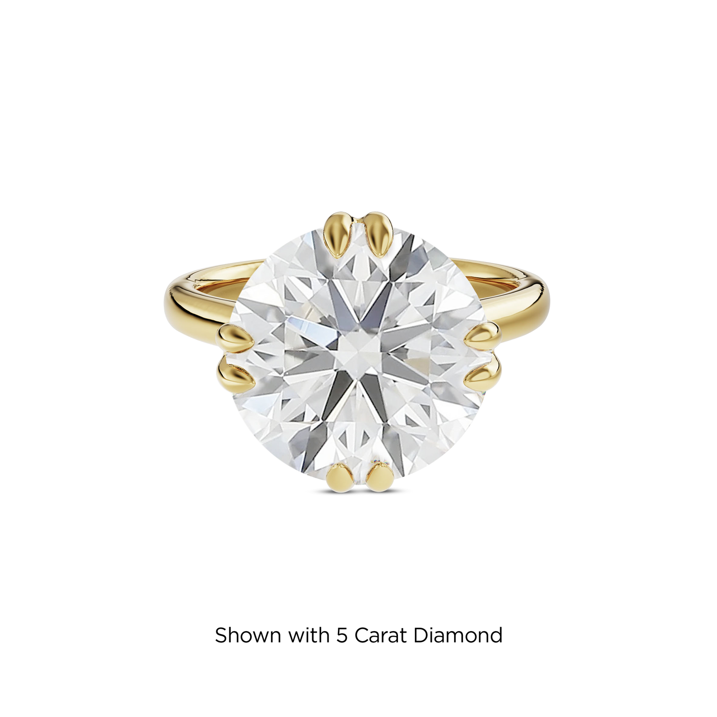 4.5 CT Vera
