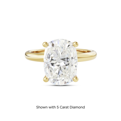 4.5 CT Eliza