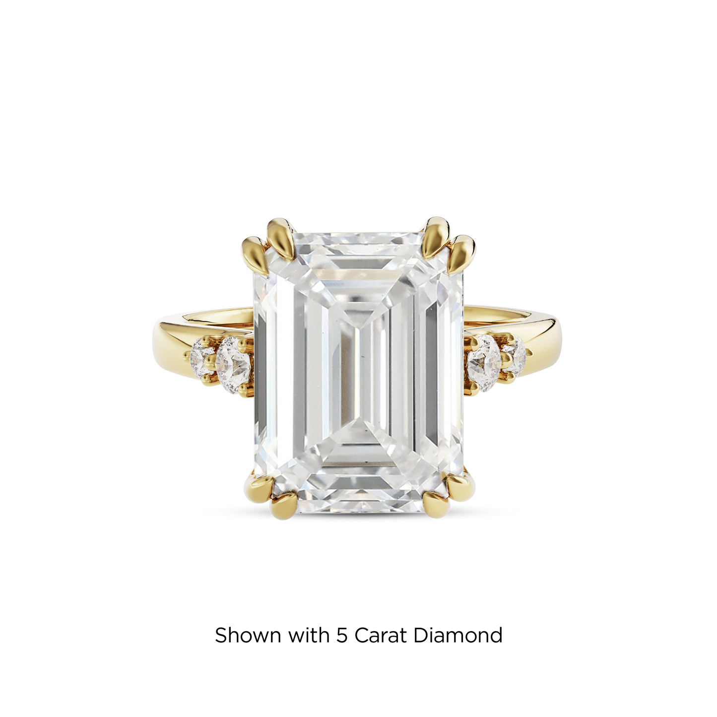 4.5 CT Sadie