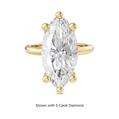 4.5 CT Eliza