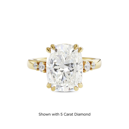 4.5 CT Sadie