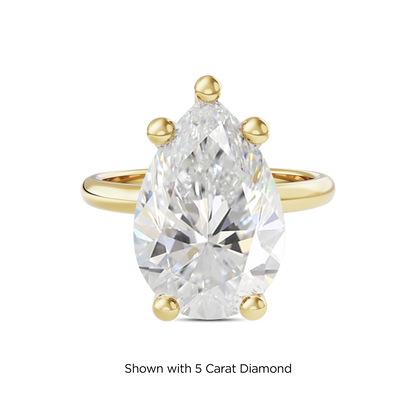 4.5 CT Eliza