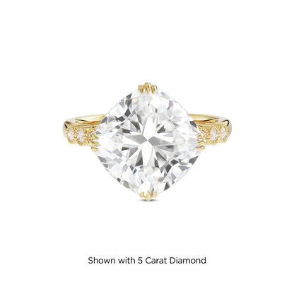 4.5 CT Celeste