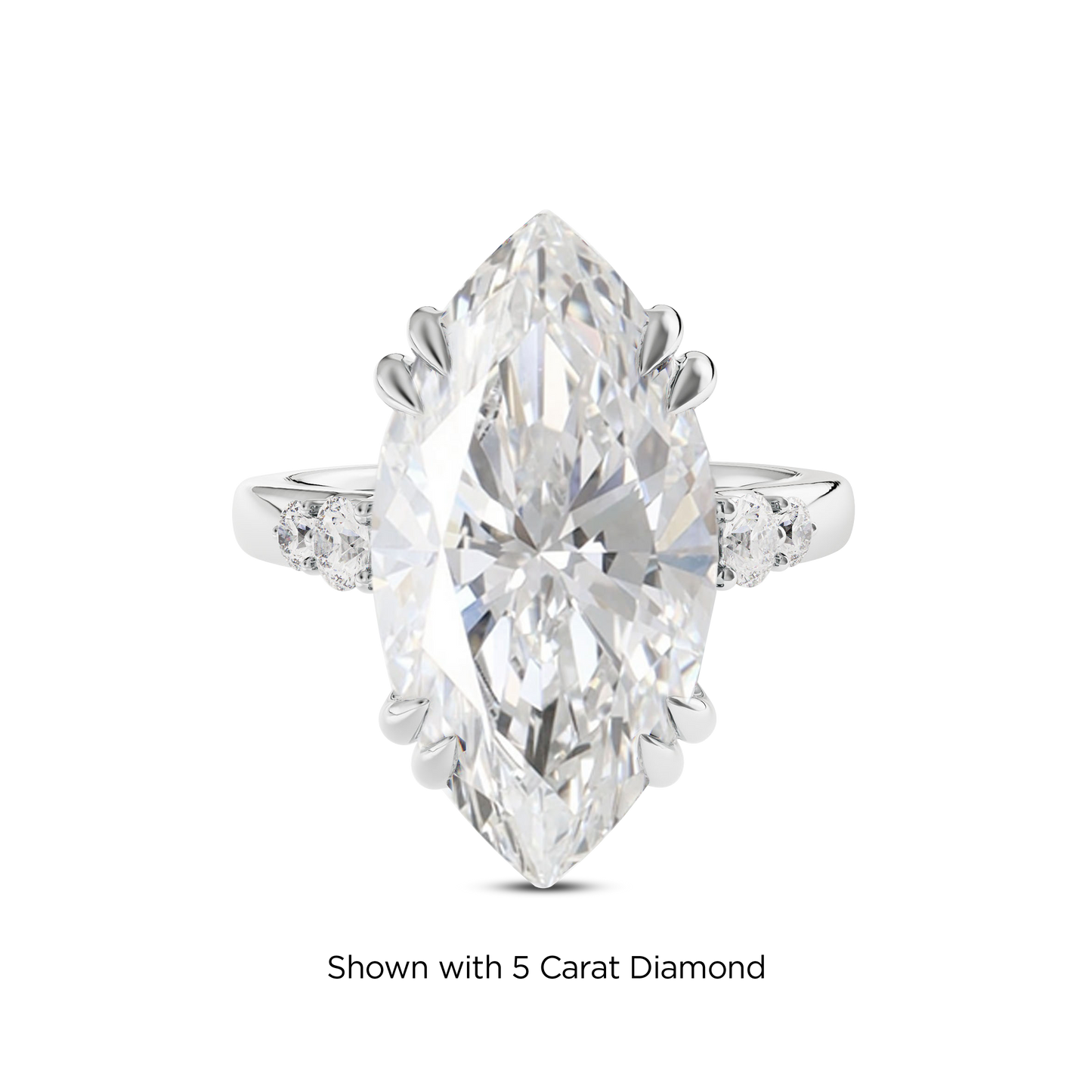 4.5 CT Sadie