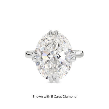 4.5 CT Vera
