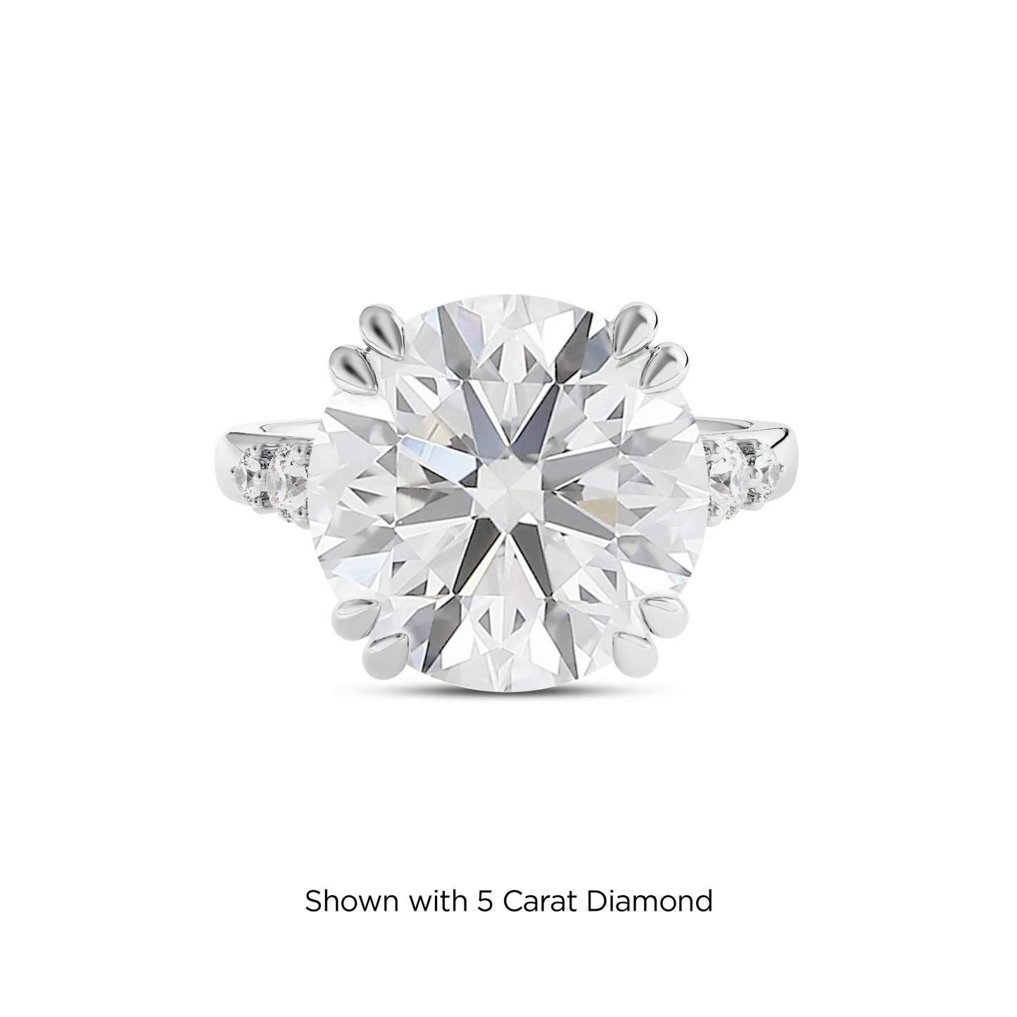 4.5 CT Sadie