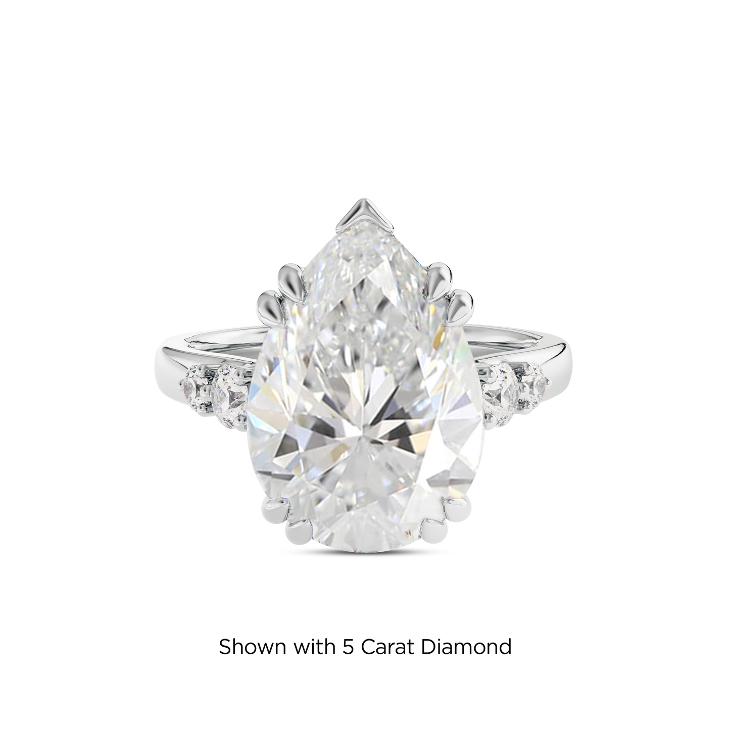 4.5 CT Sadie