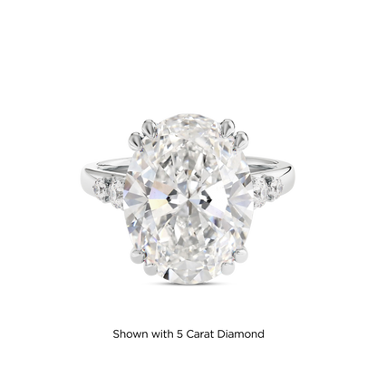 4.5 CT Sadie