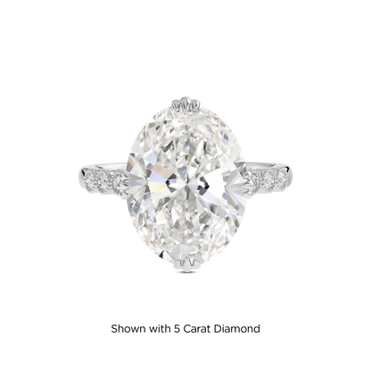 4.5 CT Celeste
