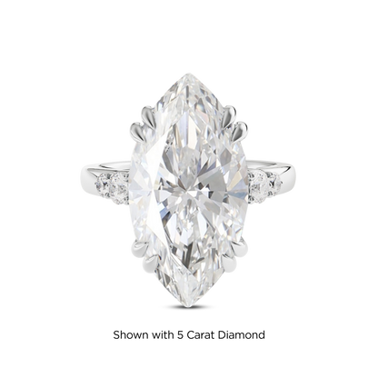 4.5 CT Sadie