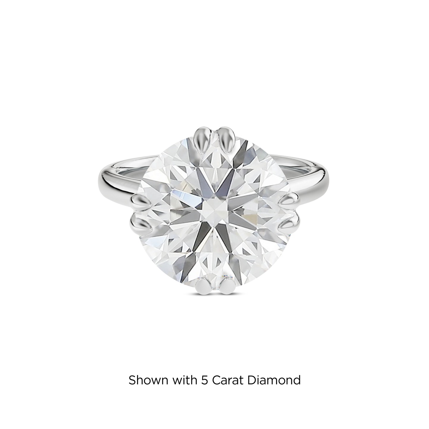 4.5 CT Vera