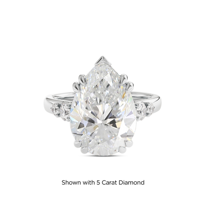 4.5 CT Sadie