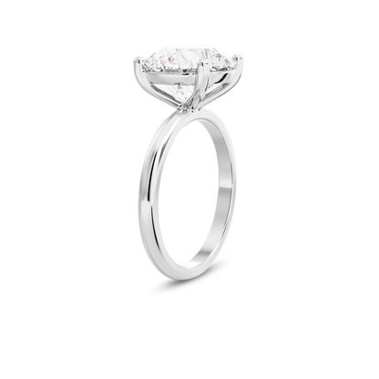 4.5 CT Eliza