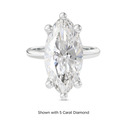 4.5 CT Eliza