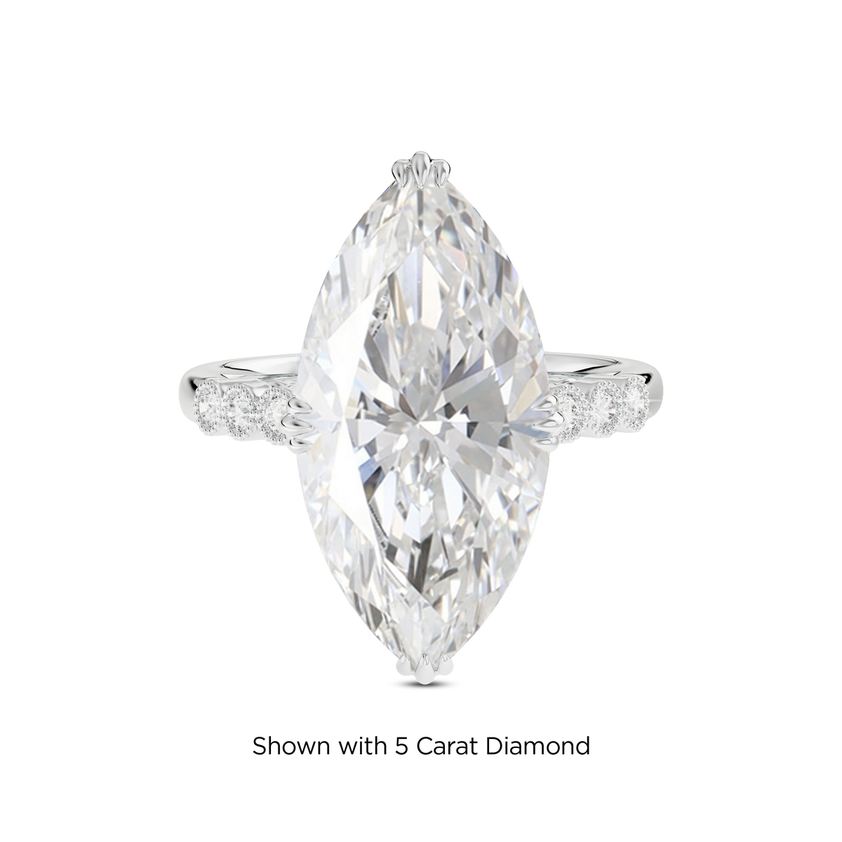 4.5 CT Celeste