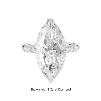 4.5 CT Celeste