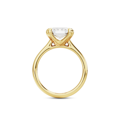 4 CT Vera