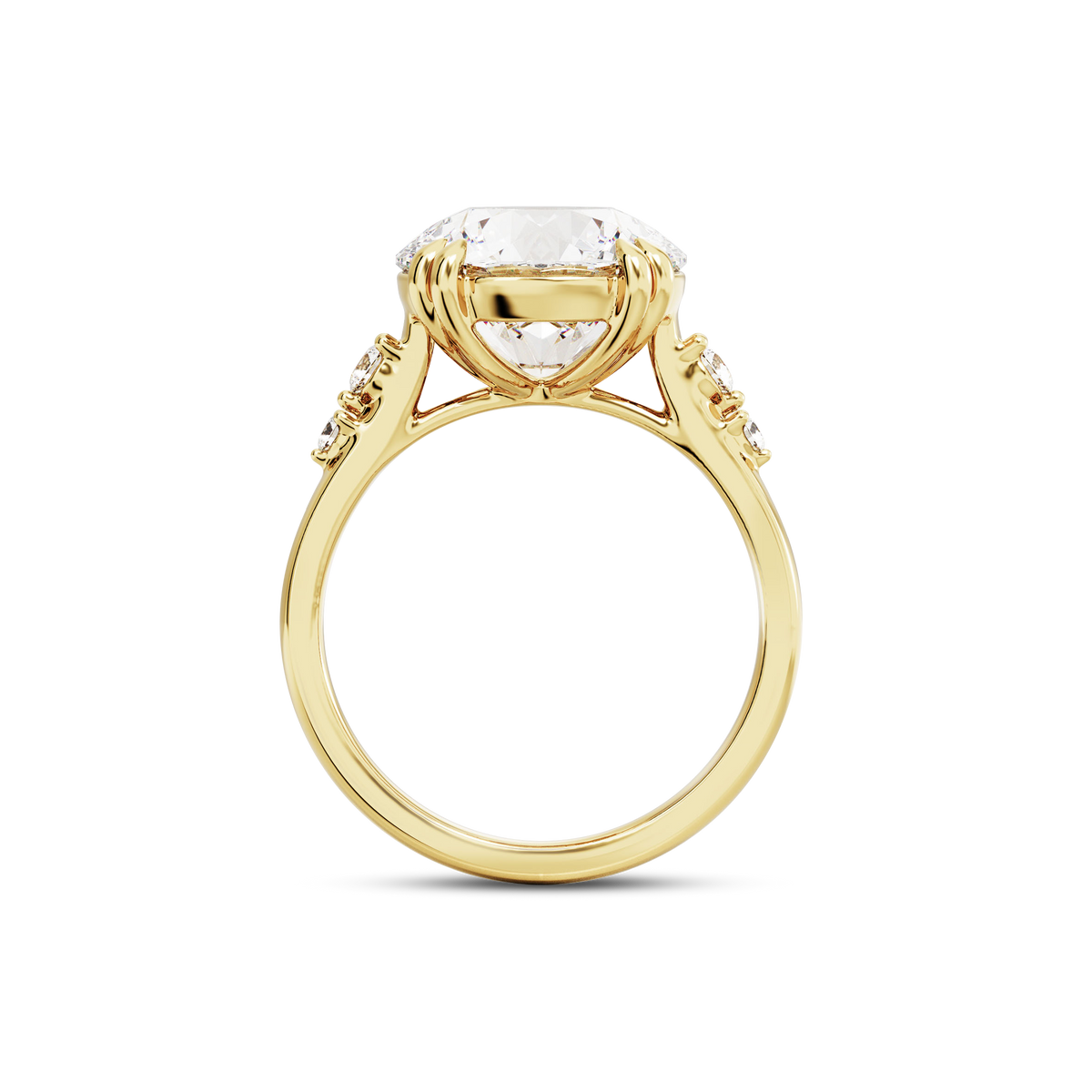 4 CT Sadie