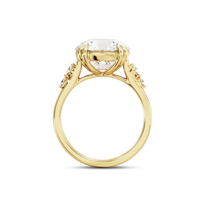 4 CT Sadie
