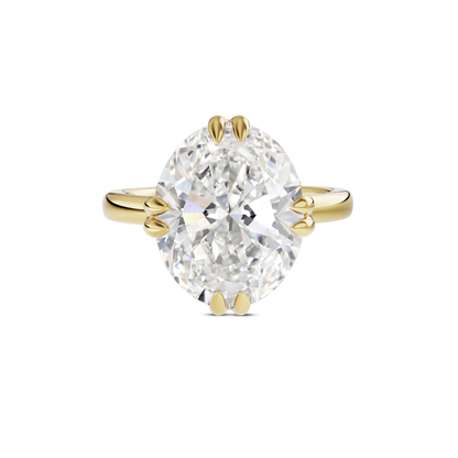 4 CT Vera