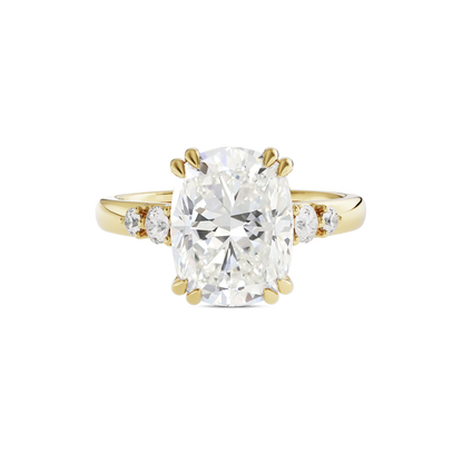 4 CT Sadie