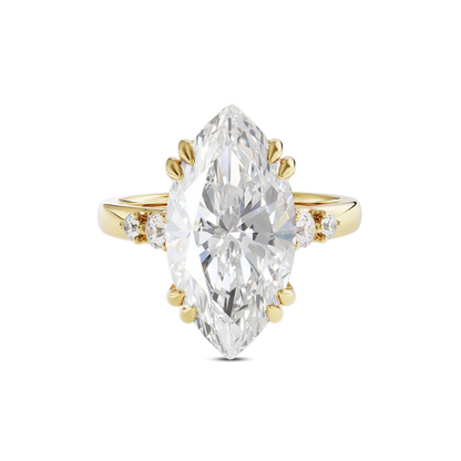 4 CT Sadie