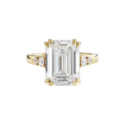 4 CT Sadie
