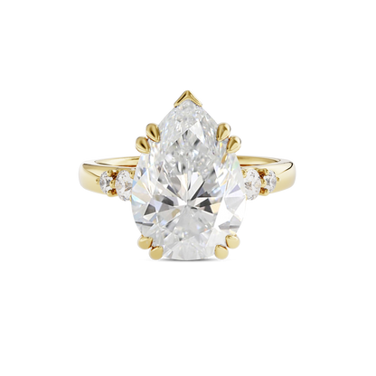 4 CT Sadie