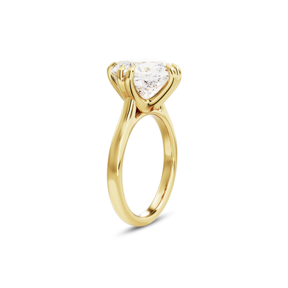 4 CT Vera