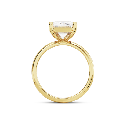 4 CT Eliza