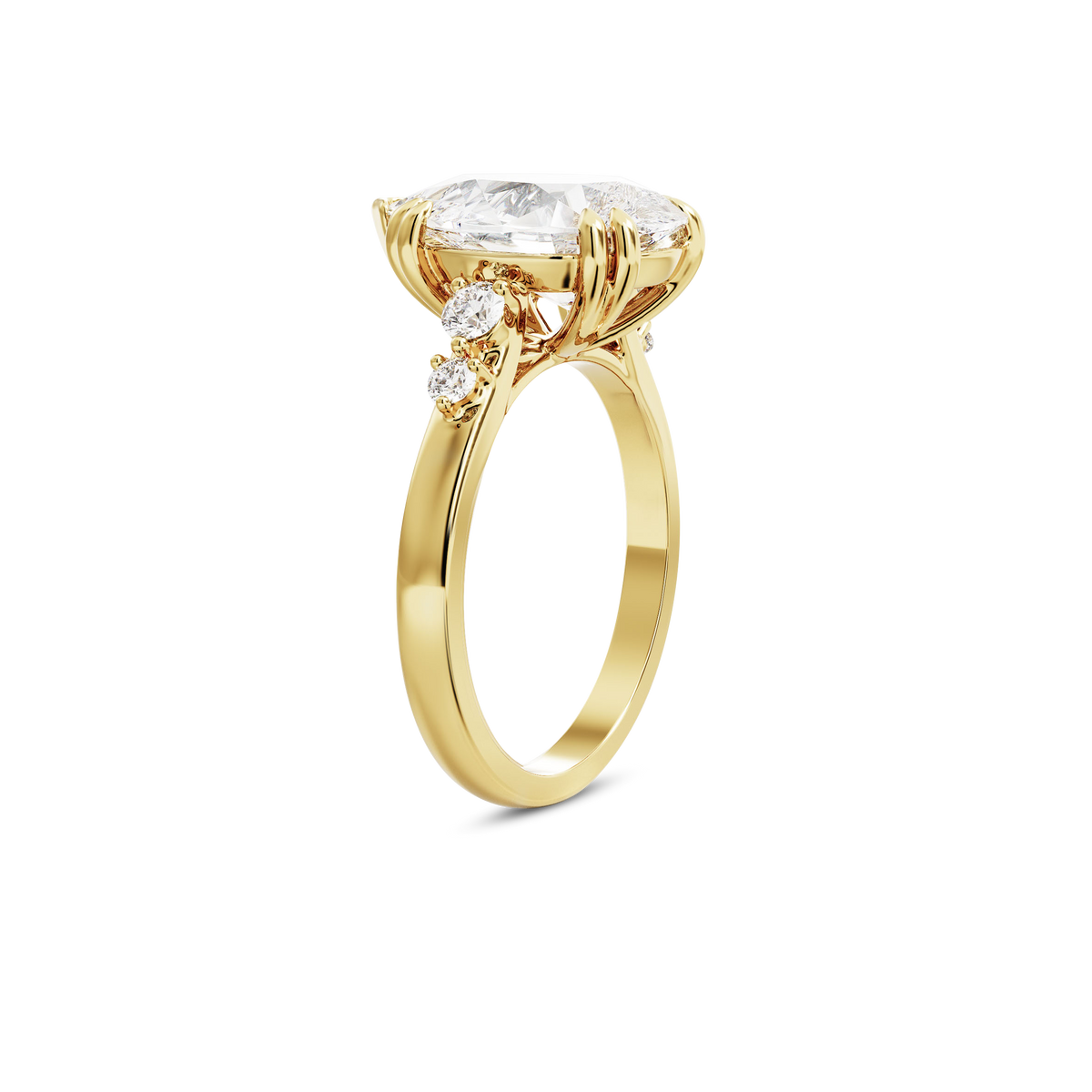 4 CT Sadie