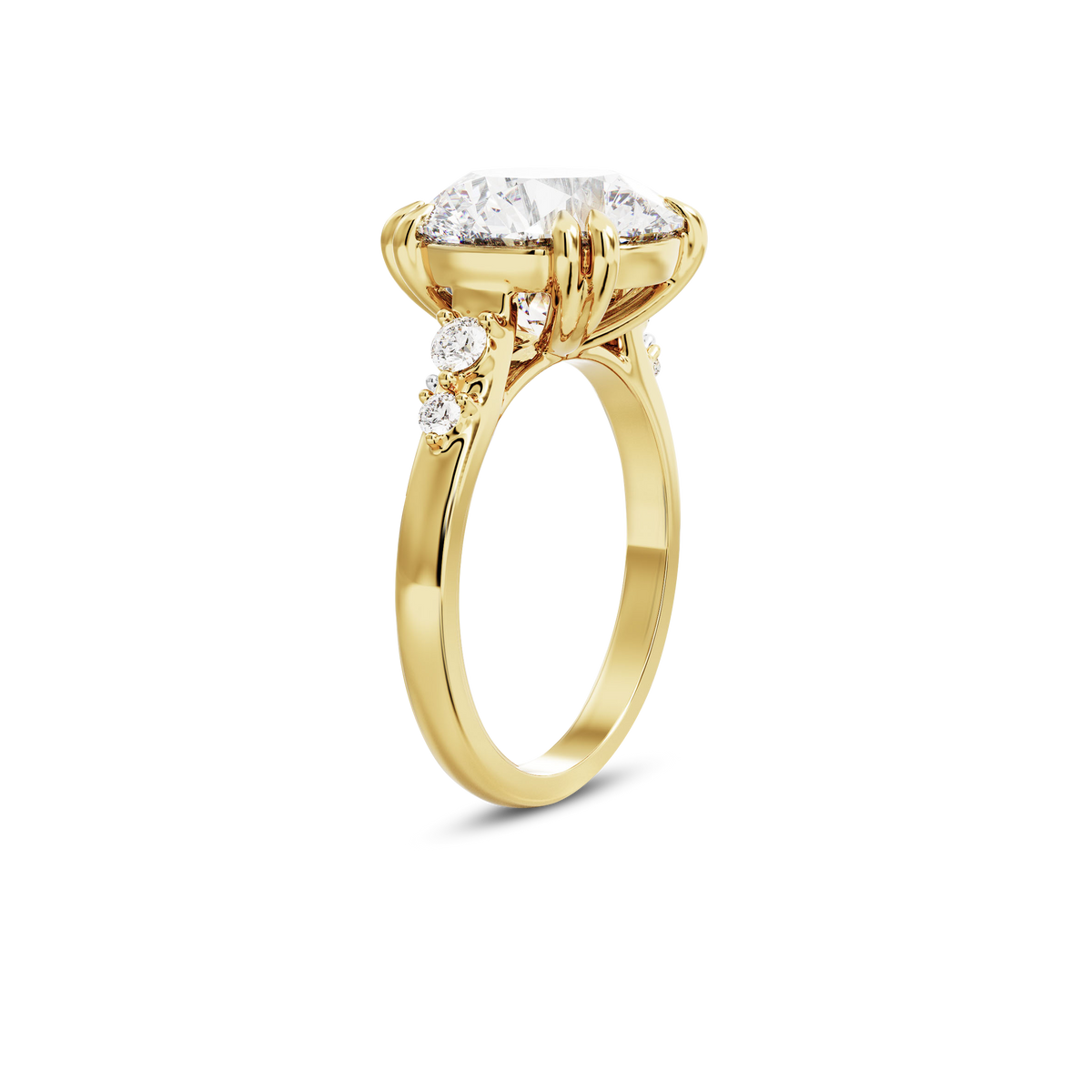 4 CT Sadie