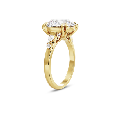 4 CT Sadie