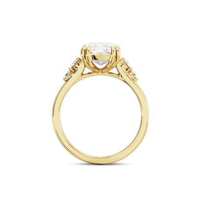 4 CT Sadie