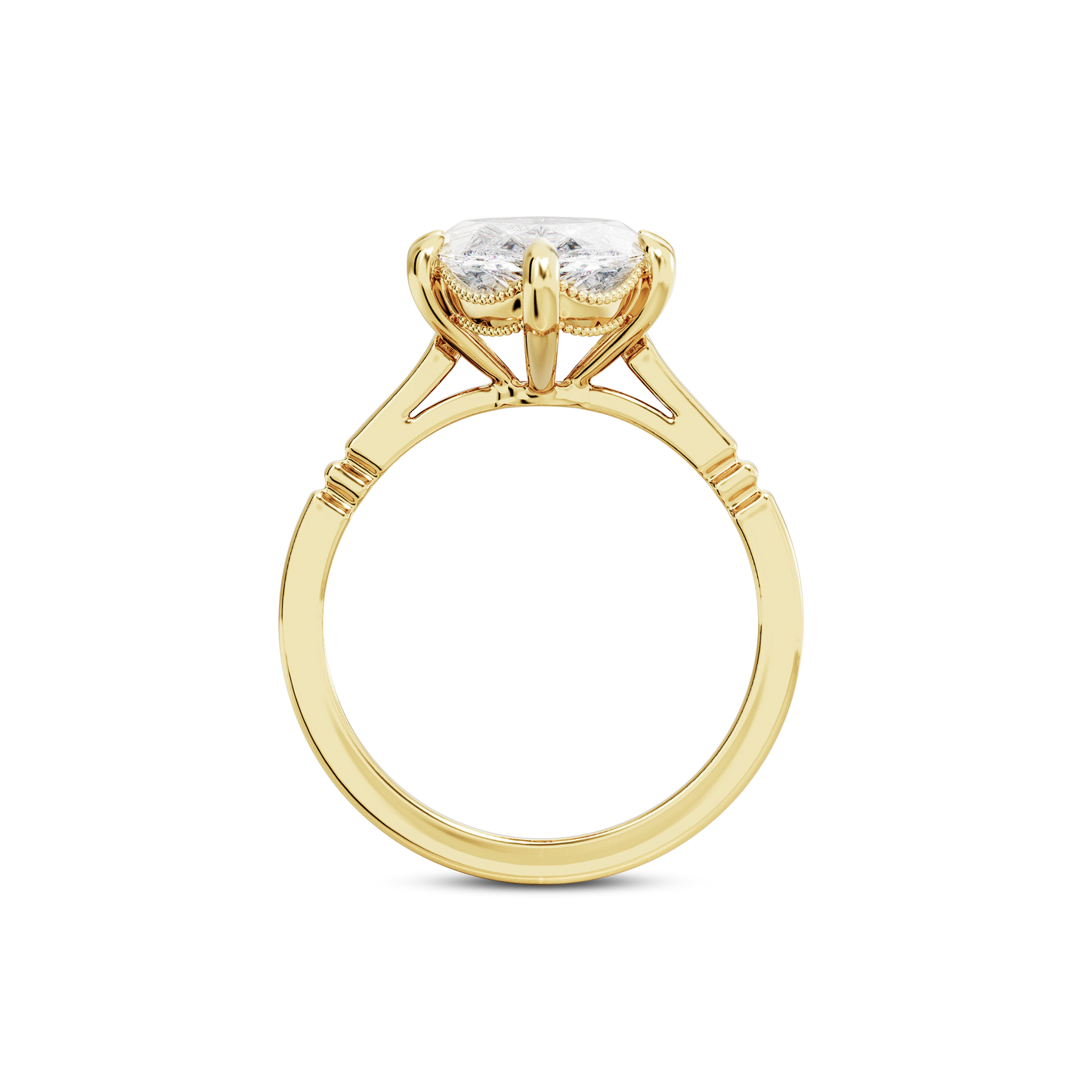 4 CT Iris