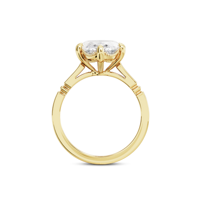 4 CT Iris