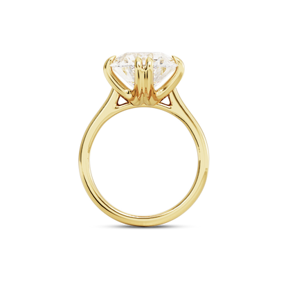 4 CT Vera