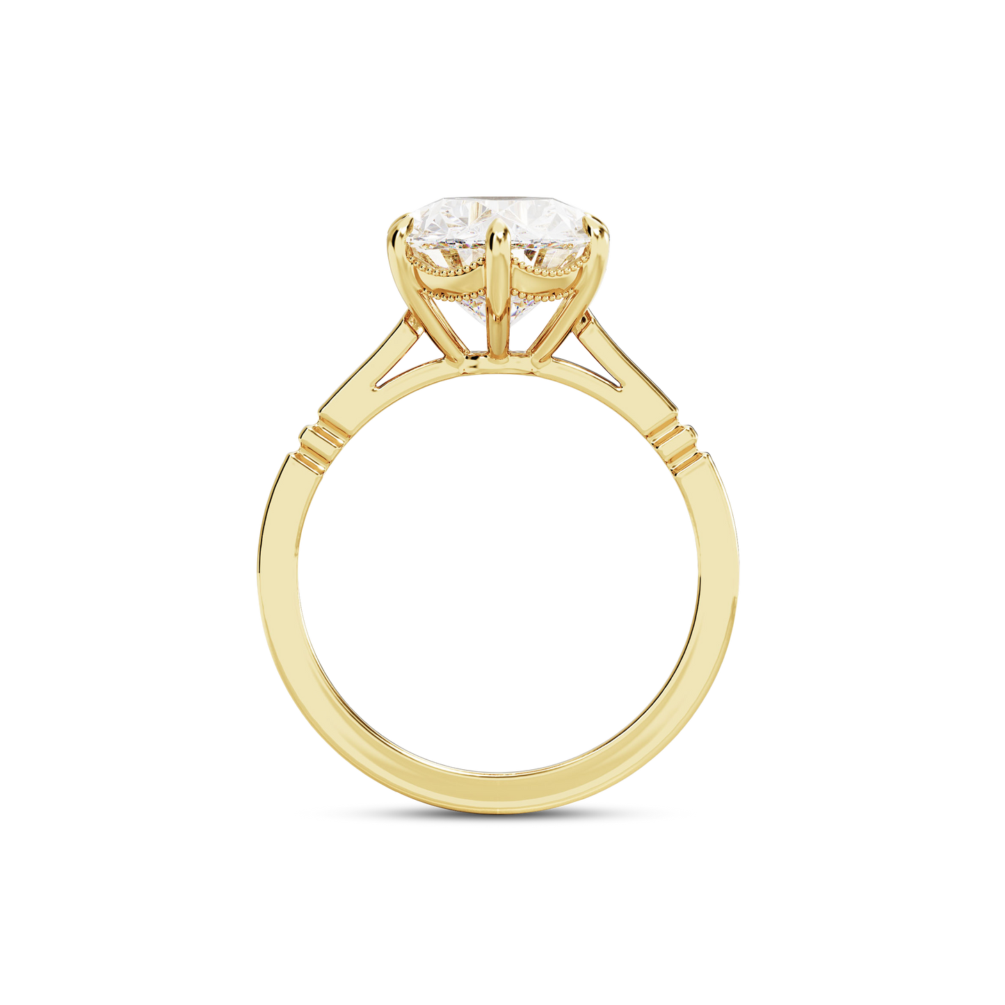 4 CT Iris